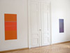Michael Rouillard, exhibition view: seen / unseen, 2010, Olschewski & Behm, Frankfurt